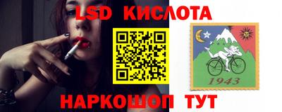 не бодяженный Гатчина