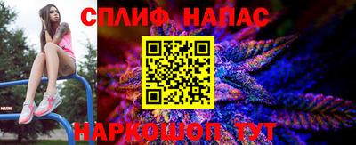 МДПВ Гай